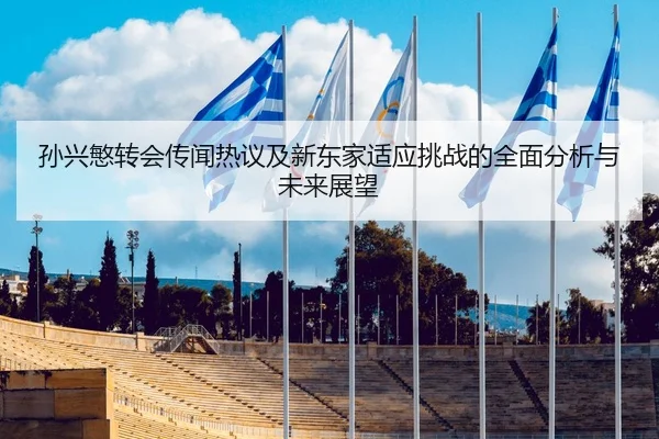 孙兴慜转会传闻热议及新东家适应挑战的全面分析与未来展望